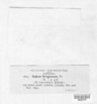 Image Associated With the Occurence
